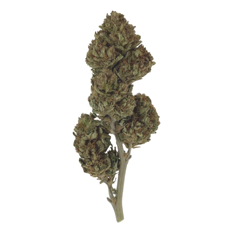 Cat's Meow CBD Flower Hand Trimmed For Sale Lakeland Hemp™