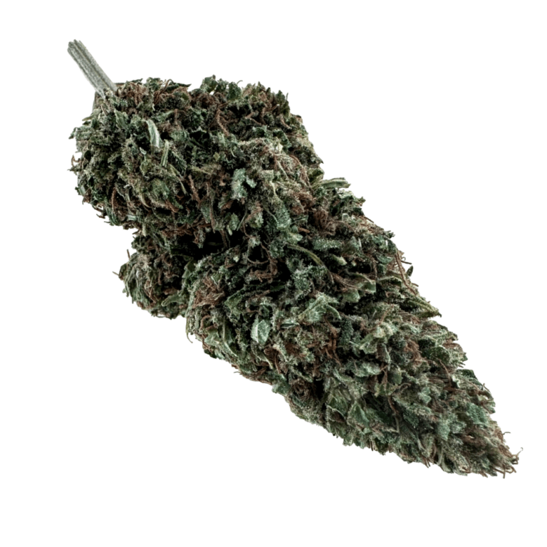 Forbidden V CBD Flower For Sale Lakeland Hemp™