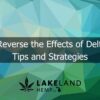 How to Reverse the Effects of Delta-9 THC: Tips and Strategies
